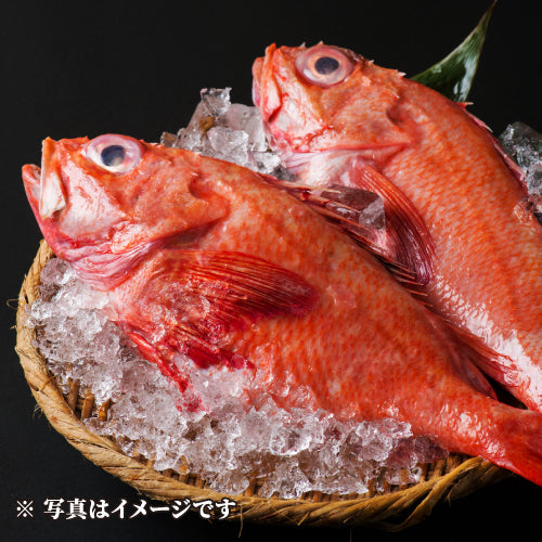 地雷也キンキ～新澤醸造店酒粕・仙台味噌漬け～